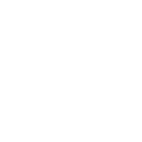 LOGO (13)